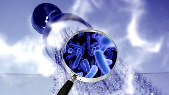 Legionellenprüfung Gefährdungsanalyse der Trinkwasserinstallation