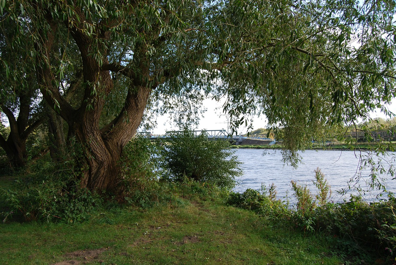 Ruhrgütebericht bestätigt: Ruhrwasser wird immer besser