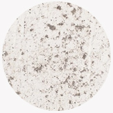Schimmel-Tests